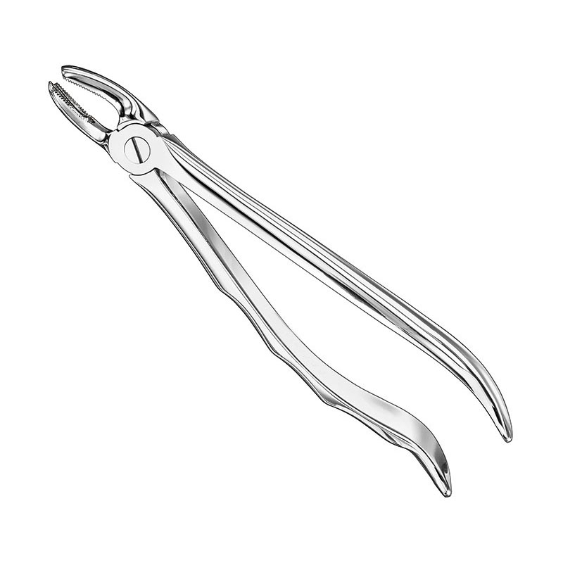 Extracting forceps, anat.