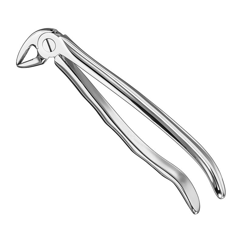 Extracting forceps, anat.
