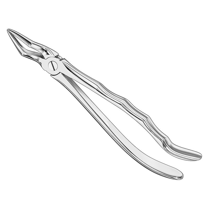 Extracting Forceps Anatomically Shaped Handle Standard