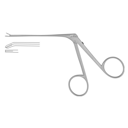 Alligator Forceps